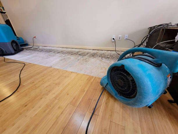 Professional Water Removal technician working in Wilbraham, MA